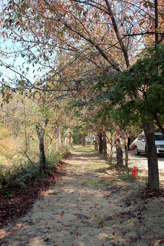 호수산장관광농원 시설 사진 8