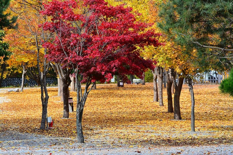 개울가오토캠핑장 시설 사진 7