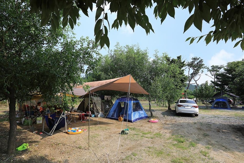 자연애캠핑장 시설 사진 17