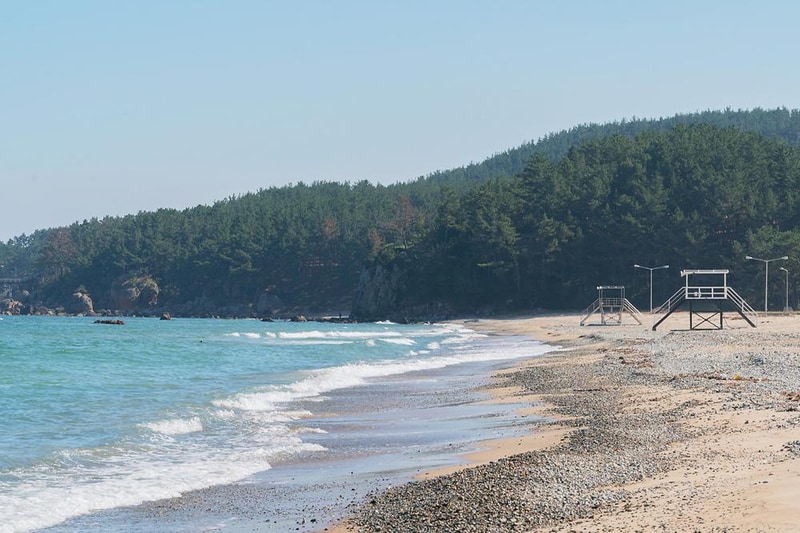 풀비치카라반 시설 사진 3