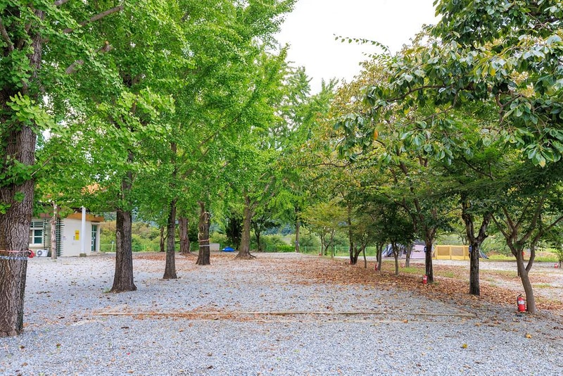 파랑새 캠핑장 시설 사진 7