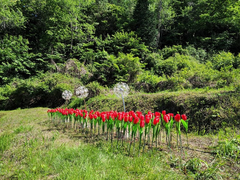 천지 글램핑 시설 사진 32
