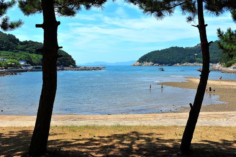 두모마을야영장 시설 사진 13