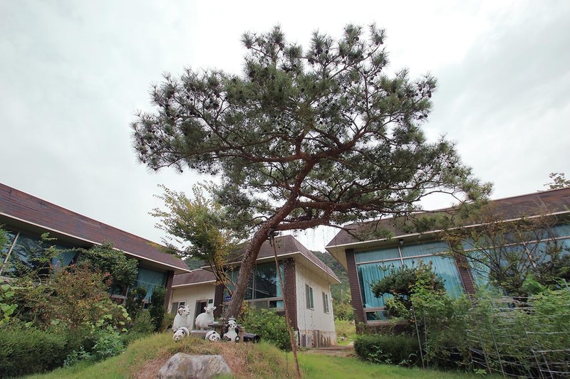 상양관광농원 시설 사진 3