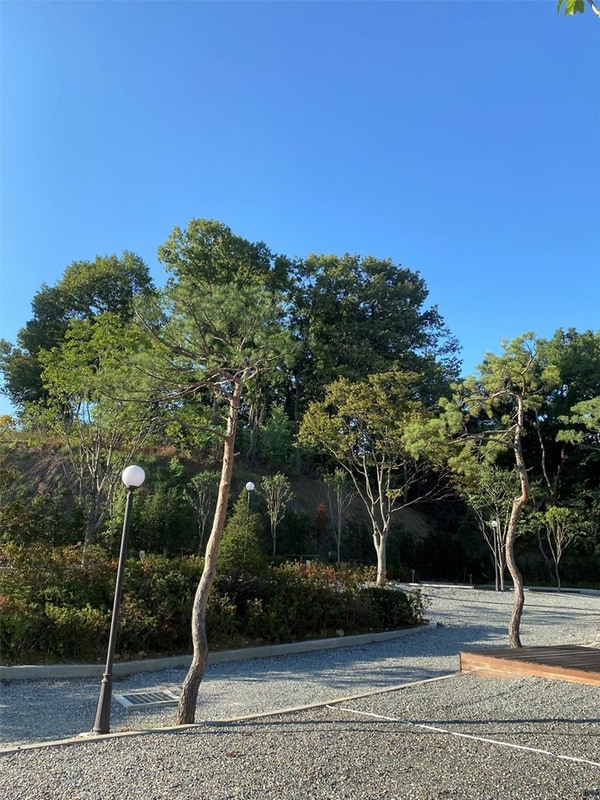 솔잎향캠핑파크 시설 사진 18