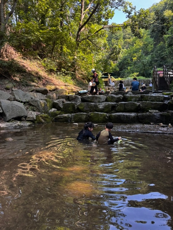 ️ 안양 병목안 캠핑장 후기 — 여름 계곡과 함께한 첫 캠핑