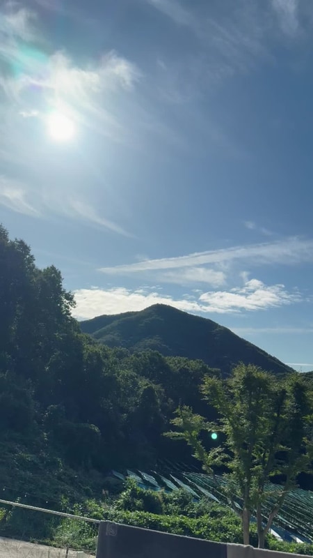 국밥먹고 구릉지 캠핑장 다녀오고 여주 프리미엄 아울렛...