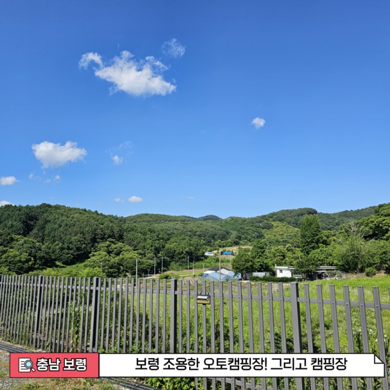 [충남 보령] 보령 조용한 오토캠핑장! 그리고 캠핑장