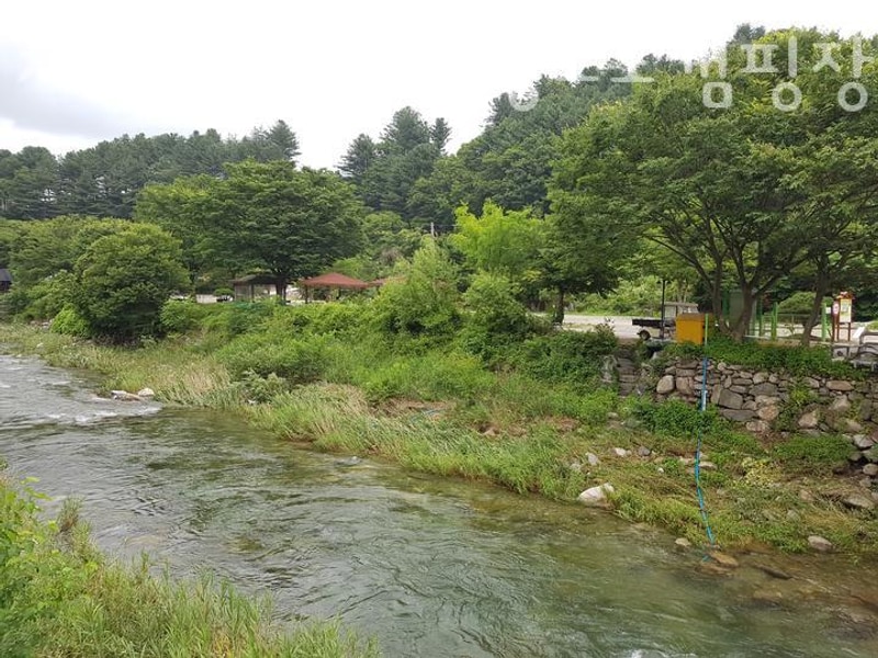 가평오토캠핑장 지지밸리유명산장오토캠핑장  이용정보