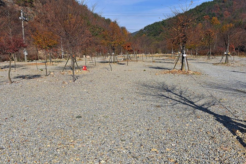 숲이조아 오토캠핑장 시설 사진 3