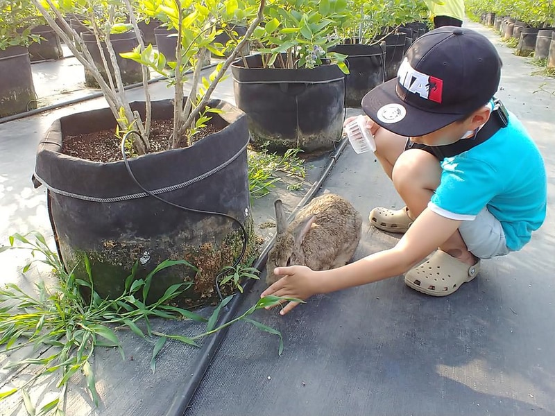 숲속의베리팜 시설 사진 29