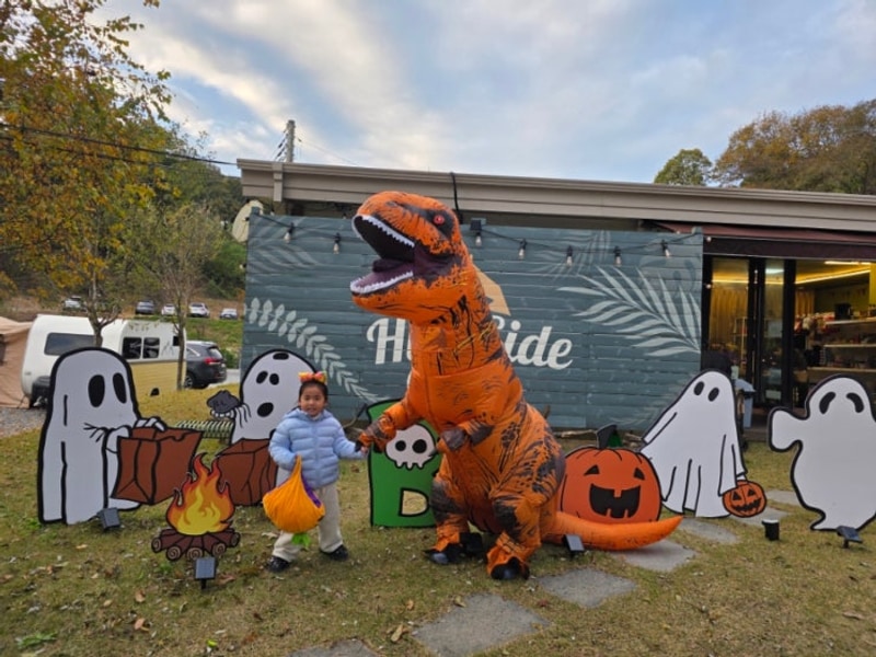 힐사이드캠핑장 / 가을캠 / 단풍캠 / 진천힐사이드 캠핑장...