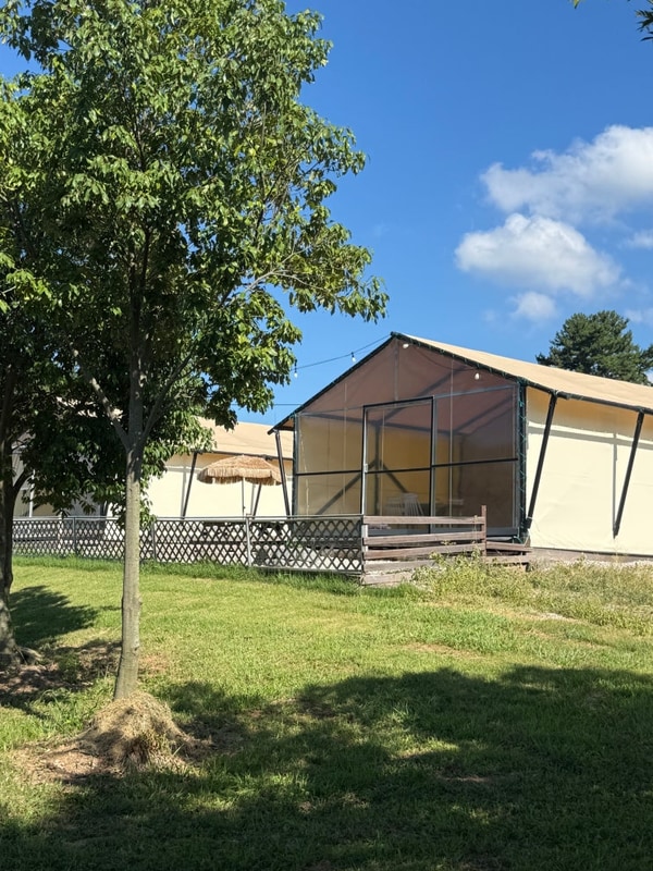 광주근교글램핑 전남애견동반글램핑 장흥 "땡땡이글램핑"