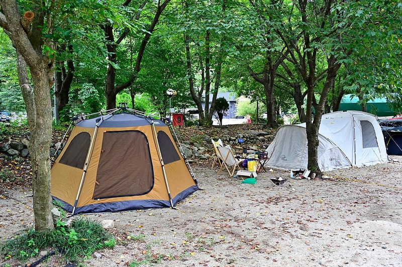 라라캠핑장 시설 사진 8