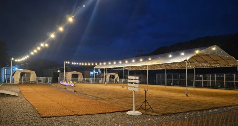 [춘천글램핑] 모든게 준비된 강촌애견글램핑 그레이스글램핑