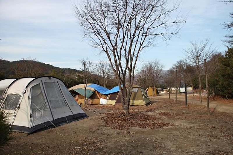 로코코캠핑장 대표 사진
