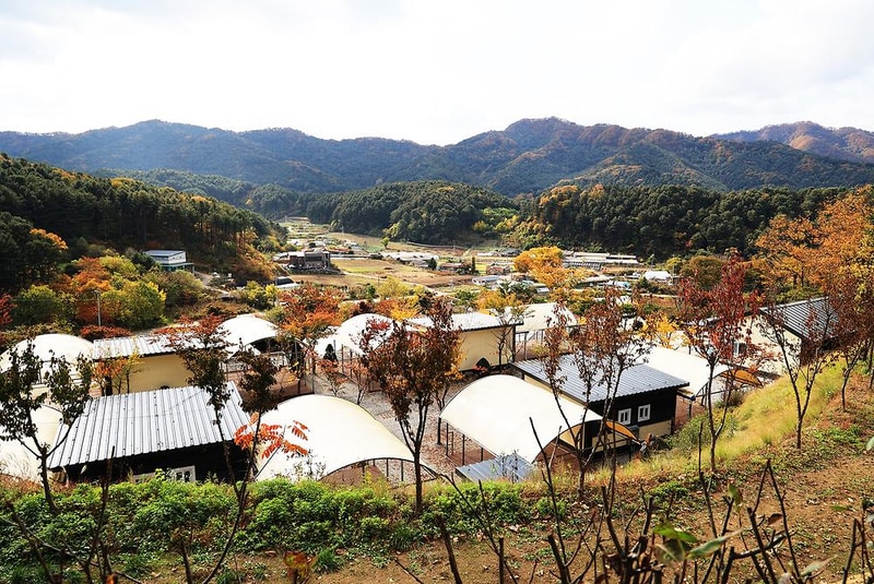 금동휴양림캠프2 시설 사진 9