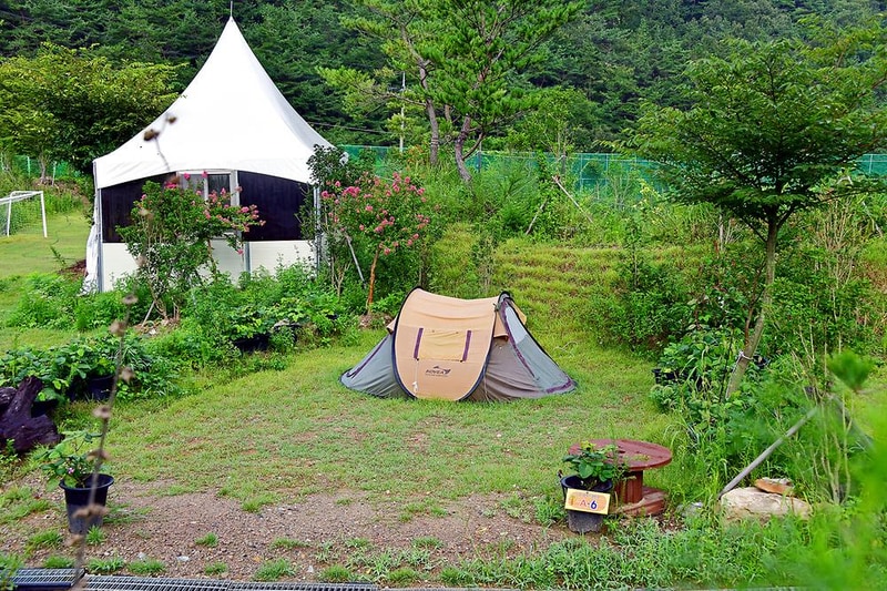 워렉스 캠핑랜드 시설 사진 26