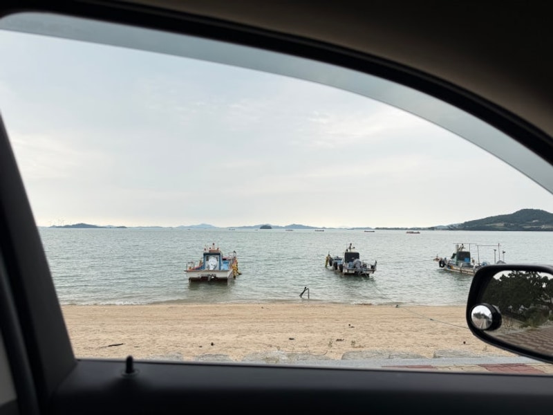 무안 홀통183캠핑장 차박 역대급 뷰/ 근처 노지 정보