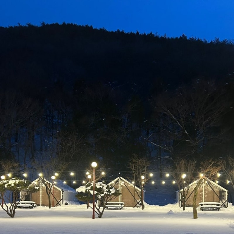 광주 근교 글램핑 추천 카바나텐트 후기 뷰 좋은 장성 애플글램핑