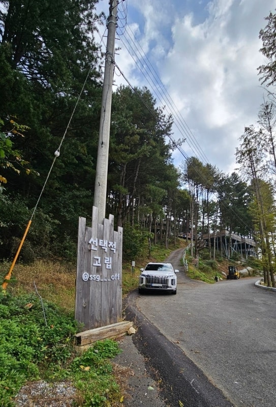 선택적고립캠핑장_B9_가평