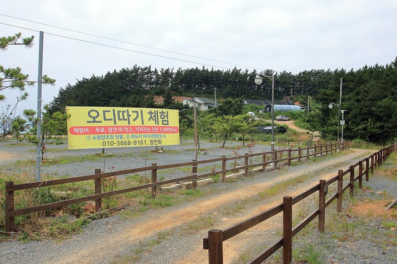 서해땅끝파도리아치내캠핑장 시설 사진 14