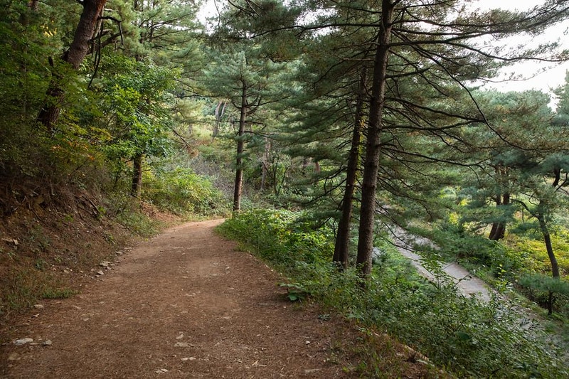용문산 해와달 시설 사진 8
