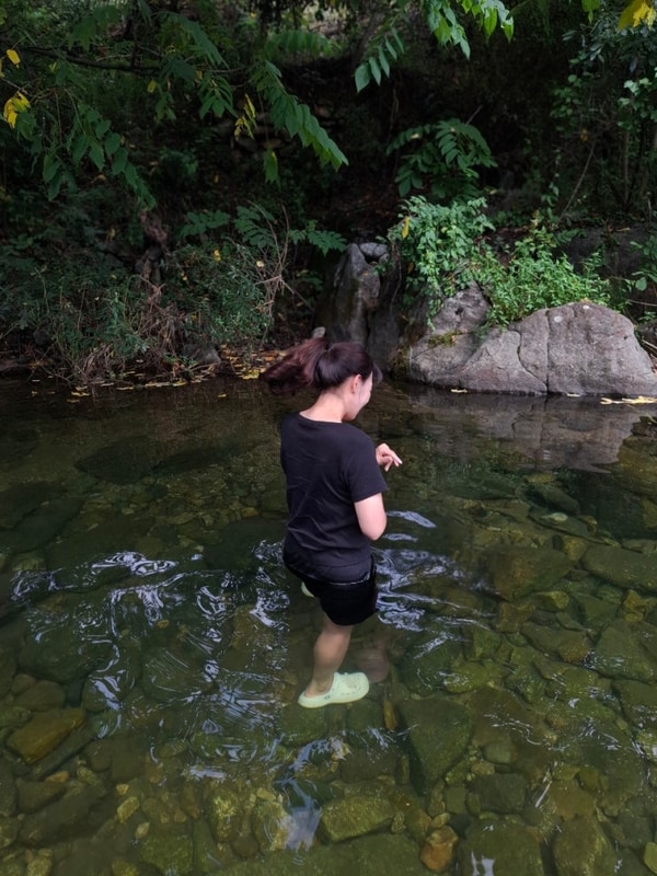 무더위 속 강원도 영월 계곡 물  무릉도원 캠핑장 2박3일