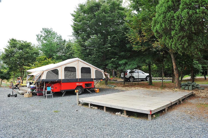 핫도그342애견글램핑카라반 주식회사 시설 사진 8