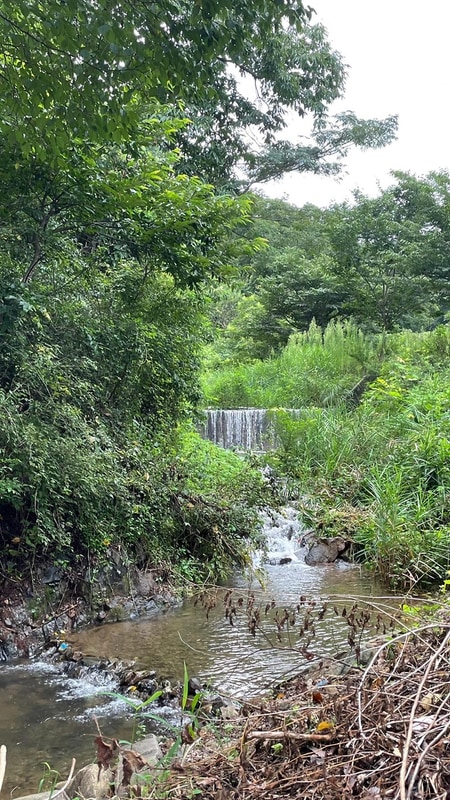 반딧불 캠핑장 시설 사진 12