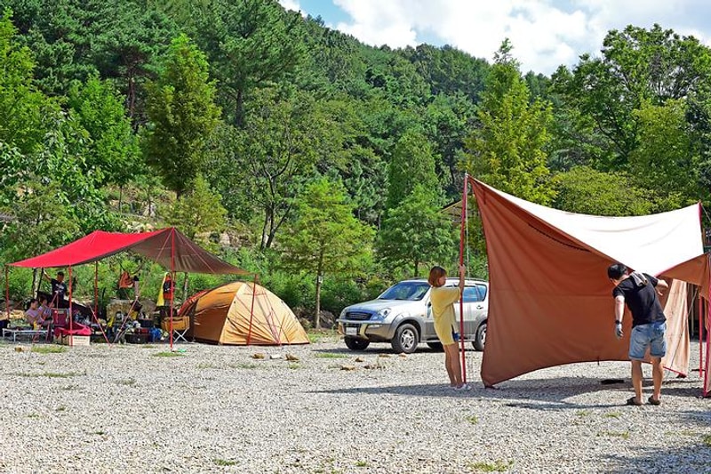 민들레동산 캠핑장 대표 사진