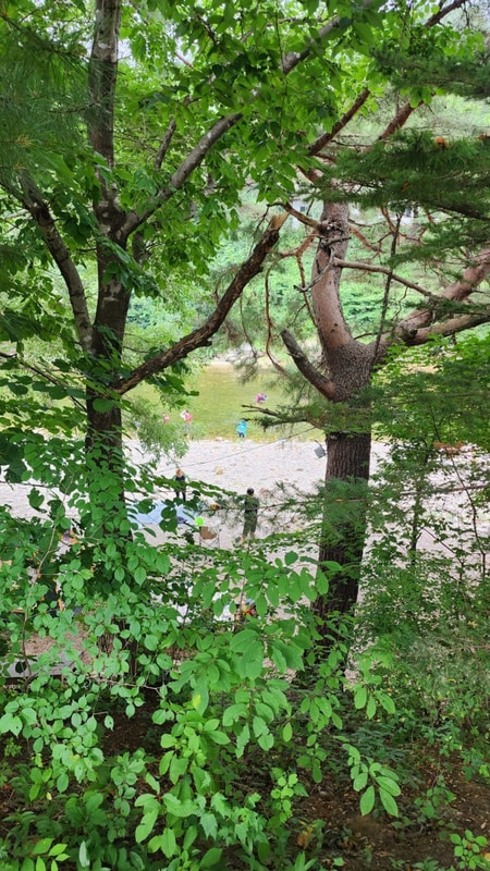 강원도 홍천 칡소 폭포 캠핑장 지상천국이네요