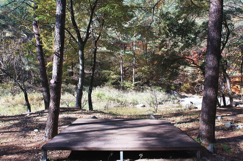 금강송 체험 야영장 시설 사진 15