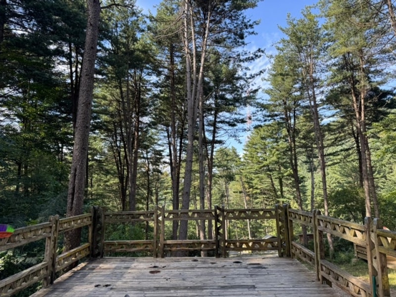 계곡과 인피니티풀까지 있는 포천 엉클킴스 캠핑장️