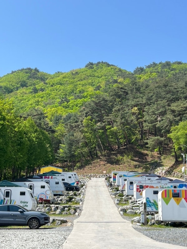 [제천] 카라반더그린 오토캠핑장 & 더그린 커피