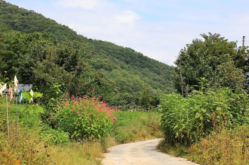 숲 나들이 야영장 시설 사진 2