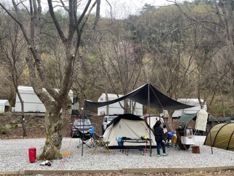 [W4][강원 원주] 치악신림오토캠핑장 5th (풀타프사이트...