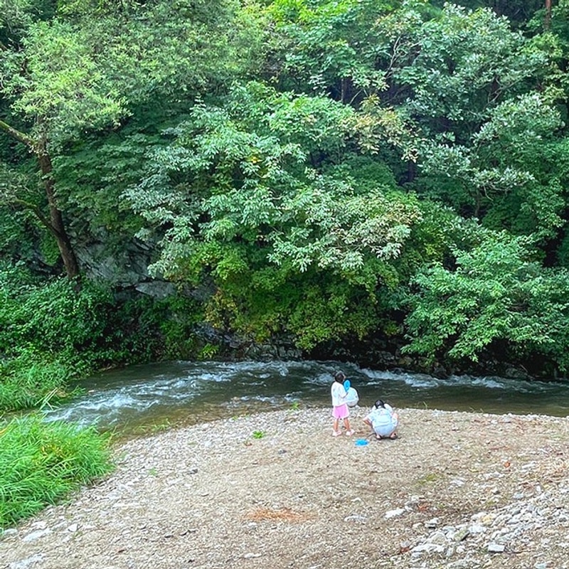 강원도 계곡 캠핑장 추천 홍천 도새울 캠핑장 시설 후기 예약
