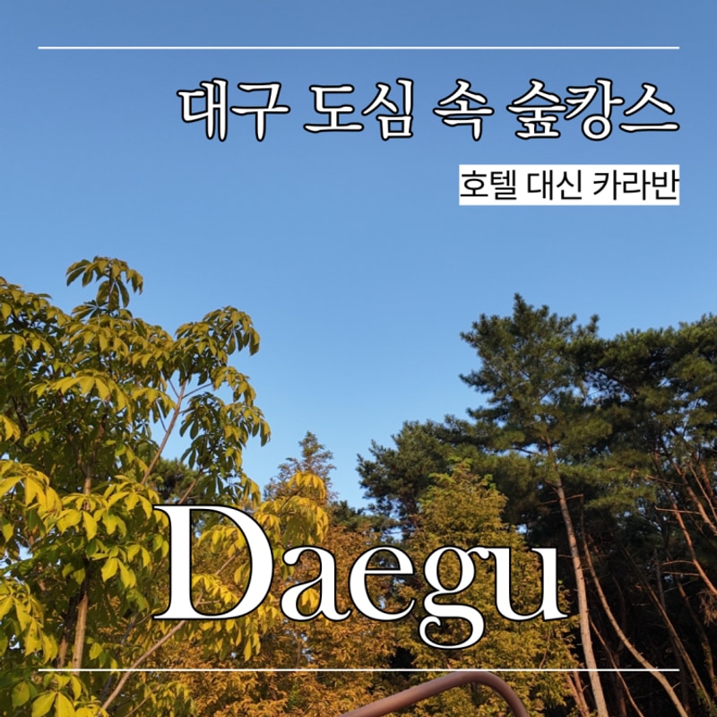 도심에 이런 카라반이? 달서별빛캠프장 숲속 이색숙소 체험기