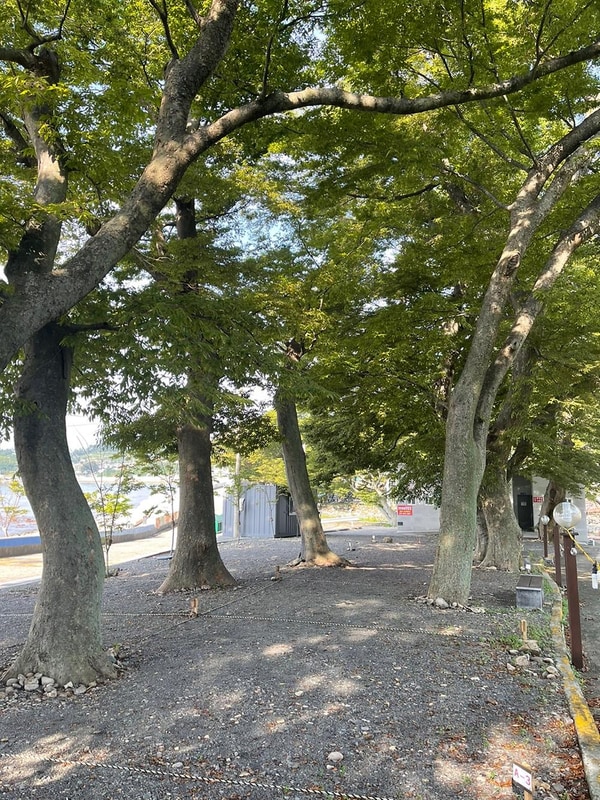 천하마을야영장 시설 사진 5