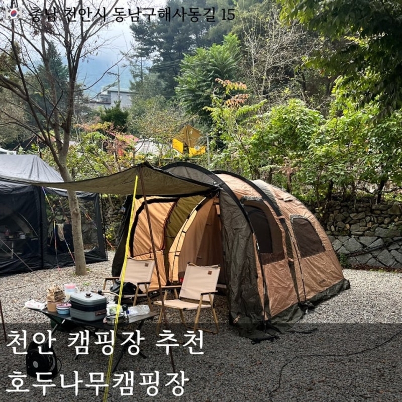 천안 캠핑장 추천｜가족단위로 오기 좋은 호두나무캠핑장 실제...