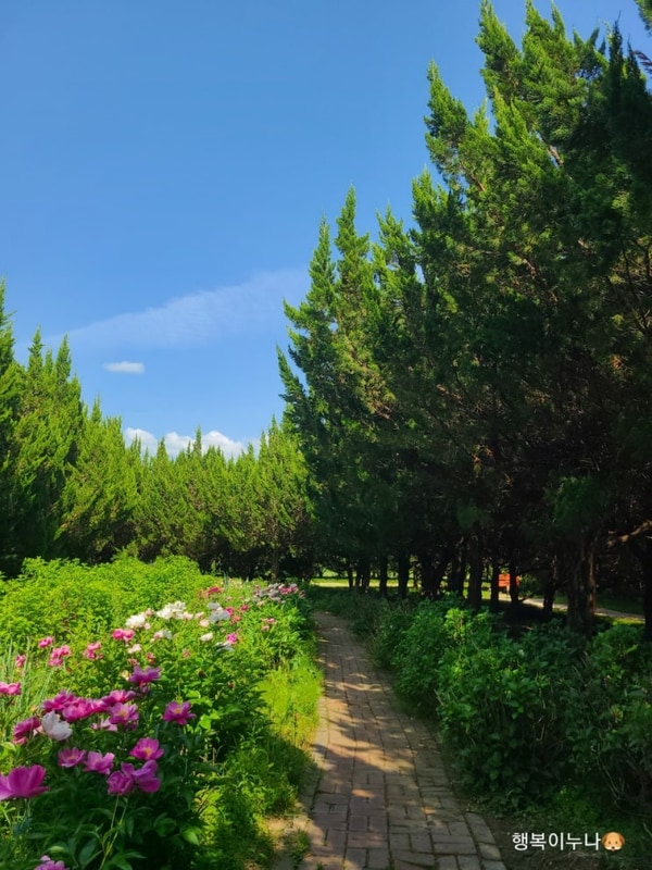 여름여행1(구례 천개의향나무숲 지리산오토캠핑장 목월빵집)