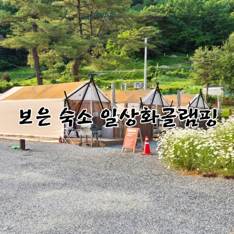 충북 보은 숙소 추천 일상화글램핑 애견동반 가능