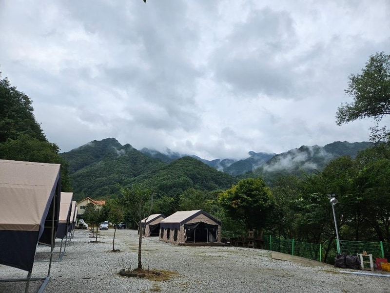 월성자연캠핑야영장 시설 사진 5