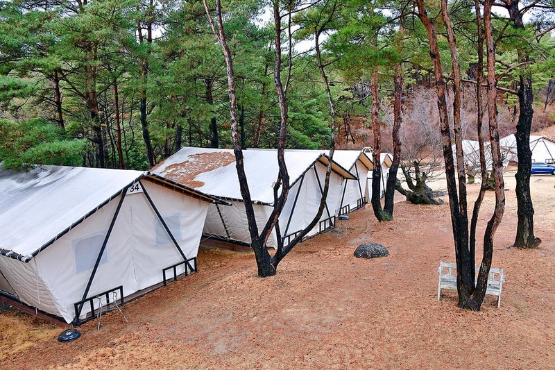 느랭이골 자연휴양림 일반야영장 시설 사진 6