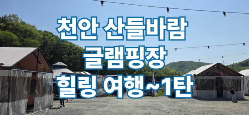 쭌쓰와 함께한 힐림 글램핑 ️ 천안 산들바람 글램핑장 후기 2탄