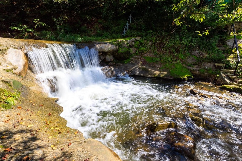 옥당걸숲속관광농원 시설 사진 3