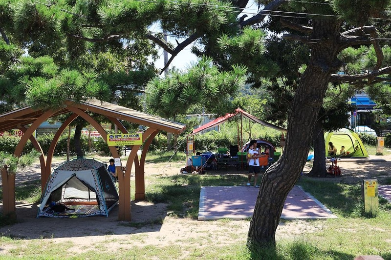 장경리해변 야영장 시설 사진 14