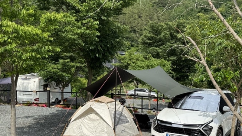 | Ep. 01 “2박 3일 진짜 하고 싶었다.” [청도_캠프 1530]