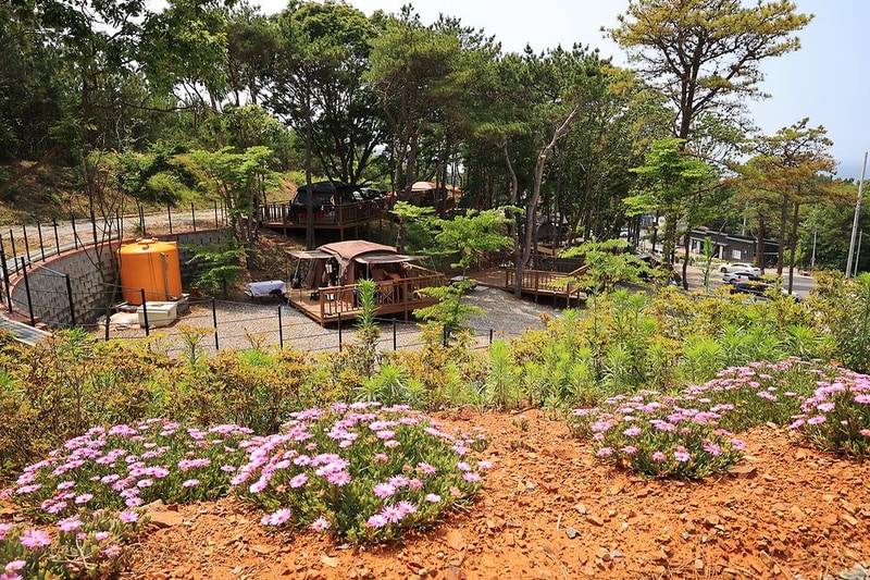 하늘빛 시설 사진 12